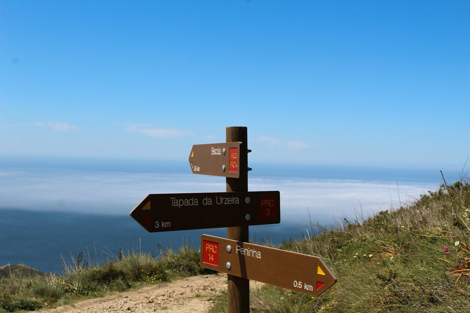 a sign post with a few signs on it